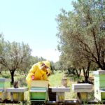 Agriturismo Arcobaleno Amaroni (14)