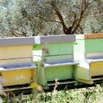 Agriturismo Arcobaleno Amaroni (8)