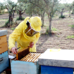 Azienda Pungitore anna teresa (5)