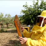 Azienda Pungitore anna teresa (7)